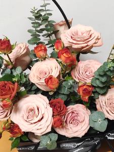 穿进宫斗文后的摆烂日常(虞犹)阅读