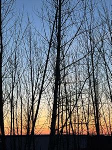 你可真会装(梨八三)阅读