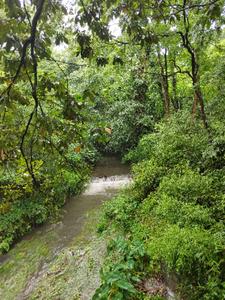 白眼狼女儿，我不要了！+后续