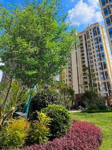 ta一直都在后续+番外