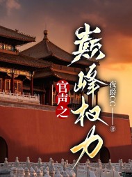 官声之巅峰权力程竹最新