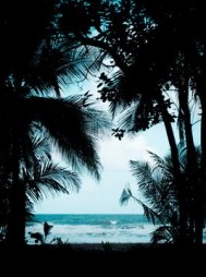 妻子挂断我最后的求救电话阅读