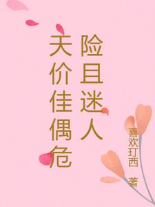 天价佳偶危险且迷人阅读