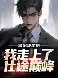 做出决定后,我走上了仕途巅峰