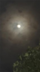 老公出轨后我让他人财两空后续+番外