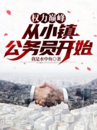 权力巅峰：从小镇公务员开始阅读