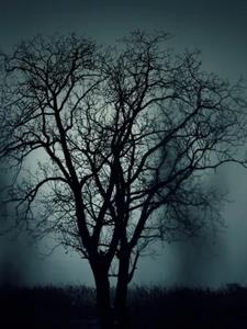 妖恋奇缘后续+番外