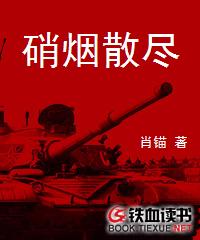 硝烟散尽小说阅读