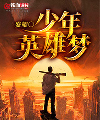 少年英雄梦小说阅读