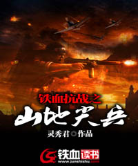 铁血抗战之山地尖兵小说阅读