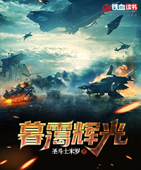 暮霭辉光小说阅读