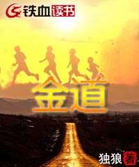 金道小说阅读