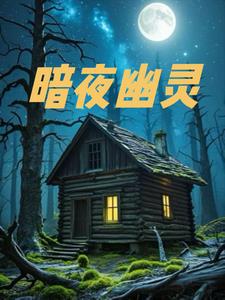 暗夜幽灵阅读