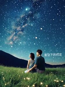 星空下的约定阅读