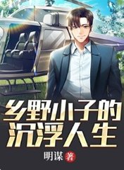 乡野小子的沉浮人生(明谋)阅读