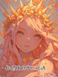 你是我的不二之选阅读