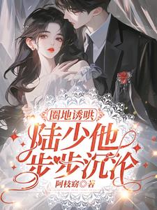 圈地诱哄,陆少他步步沉沦精彩