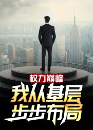 权力巅峰:我从基层步步布局阅读