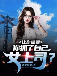 让你调查，你抓了自己女上司？阅读