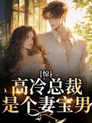 惊高冷总裁是个妻宝男时安