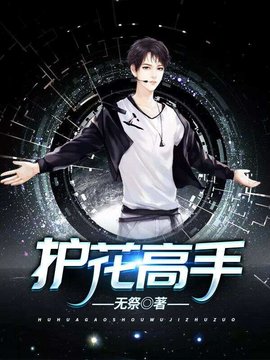 护花高手小说阅读