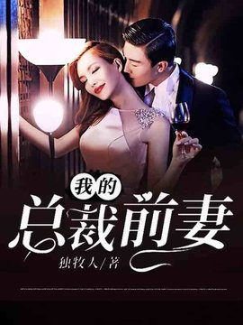 我的总裁前妻小说阅读