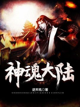 神魂大陆小说阅读