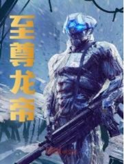 至尊龙帝陆鸣最新无弹窗