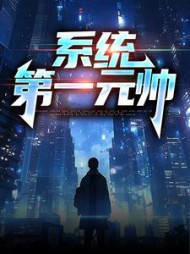 系统第一元帅李锋