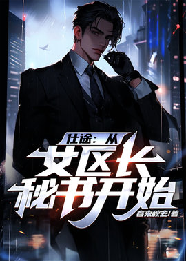 仕途：从女区长秘书开始小说阅读
