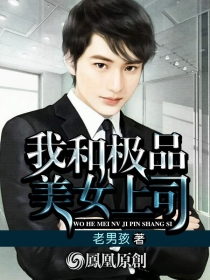 我和极品美女上司小说阅读
