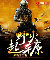 野火起平原小说阅读