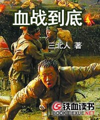 血战到底小说阅读