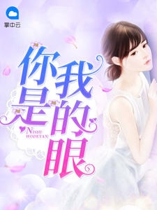 你是我的眼小说阅读