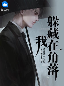 我躲藏在角落小说阅读