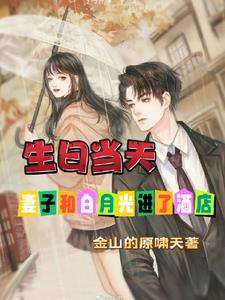 生日当天妻子和白月光进了酒店阅读