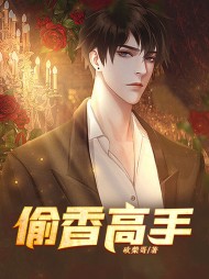 偷香高手铜骨子何叶阅读