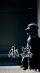 小黑后续+番外