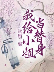 试婚丫鬟:我给小姐当替身阅读