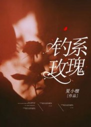 钓系玫瑰何皎皎曲东黎阅读