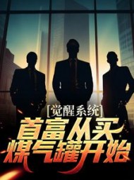 觉醒系统首富从买煤气罐开始林路