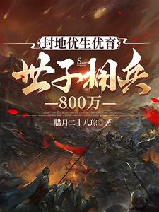 封地优生优育，世子拥兵800万阅读