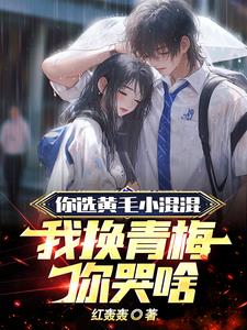 你选黄毛小混混，我换青梅你哭啥阅读