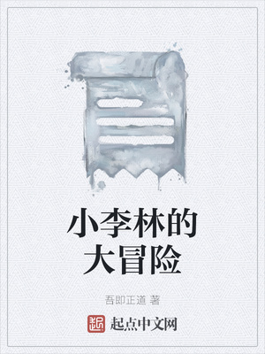 小李林的大冒险小说阅读