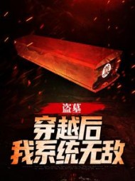 盗墓：穿越后我系统无敌许言小说阅读