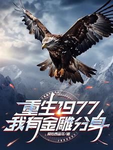 重生1977，我有金雕分身阅读