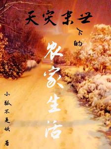 天灾末世下的农家生活阅读