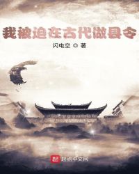 我被迫在古代做县令小说阅读