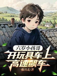 六岁小孩哥，开玩具车上高速飙车