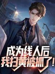 成为线人后我扫黄被抓了(江淼)小说阅读
